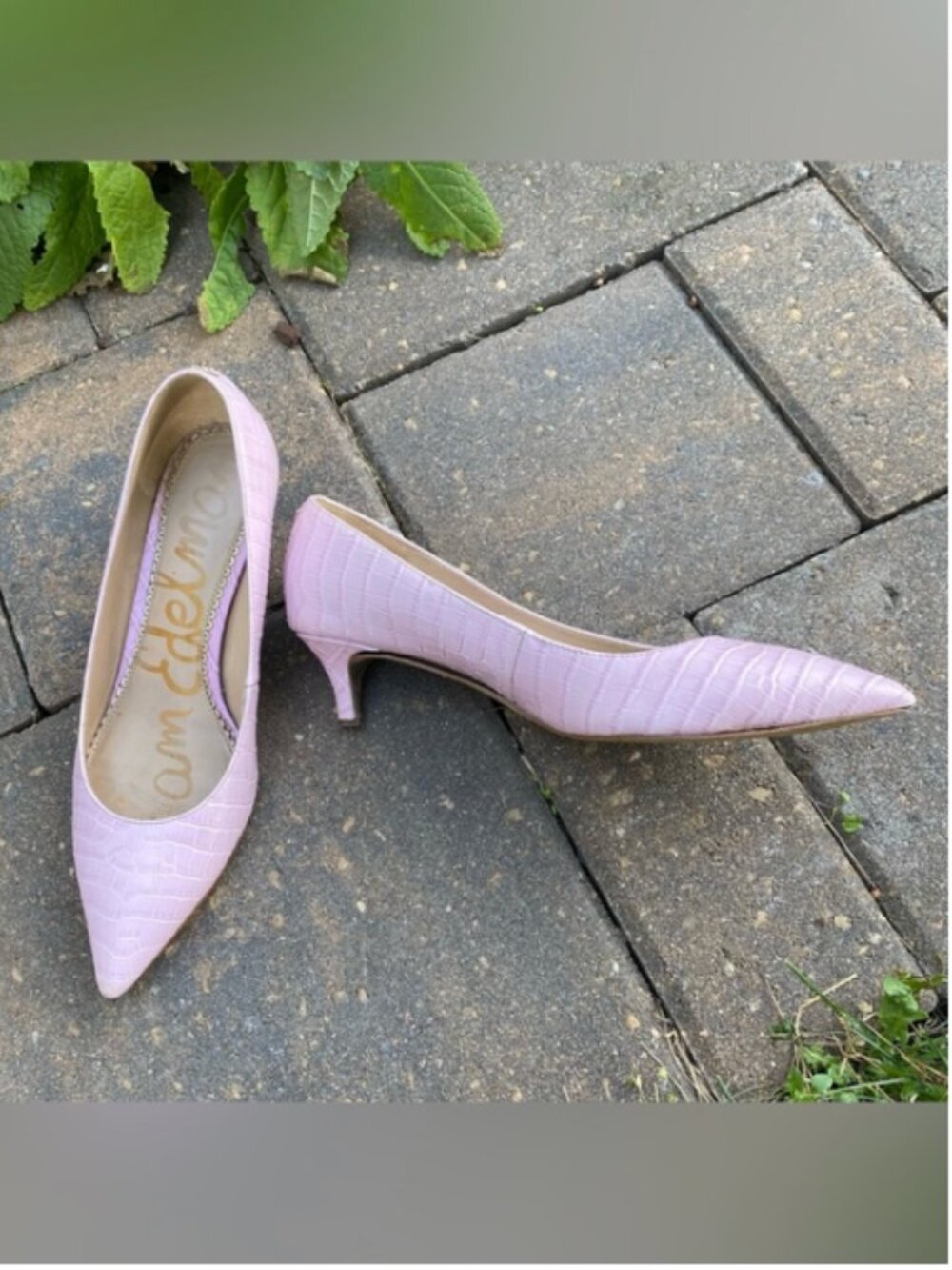 Sam Edelman Blush Pink Croc-Embossed Pointed Toe Pumps - Size 7.5. Fall Sale